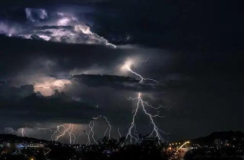 梦见雷电击中树木