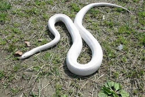 梦见蓄水池
