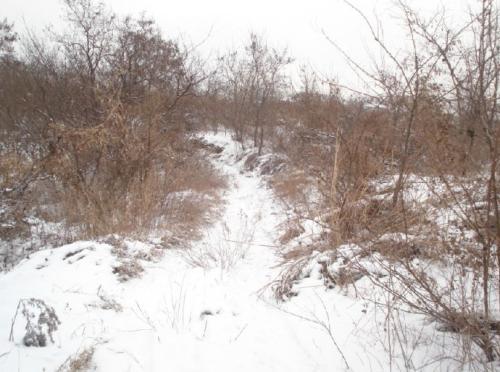 梦见大雪封山