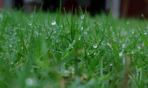 梦见在下雨天去大便