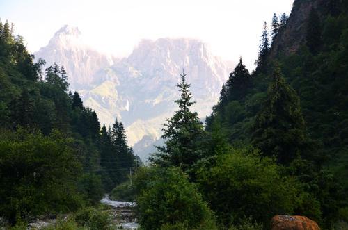 梦见发大水往山上跑