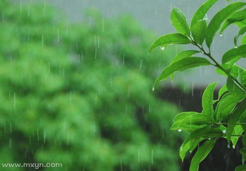 梦见外面有小雨