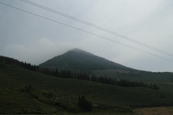 梦见在高山上