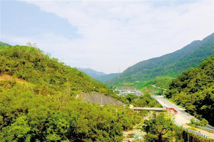 梦见大水坑