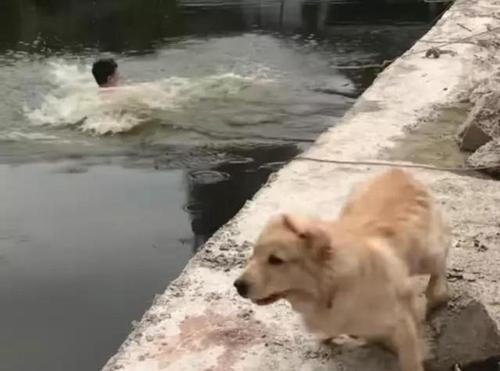 梦见别人掉水里又被救起