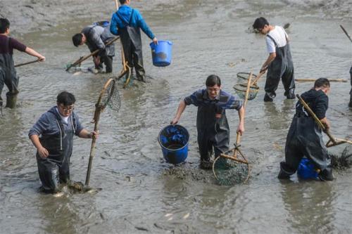 梦见涨水抓鱼