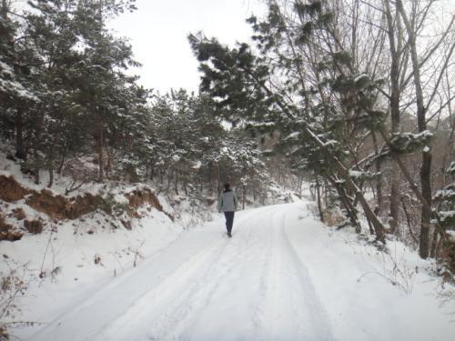 梦见老公下雪爬山