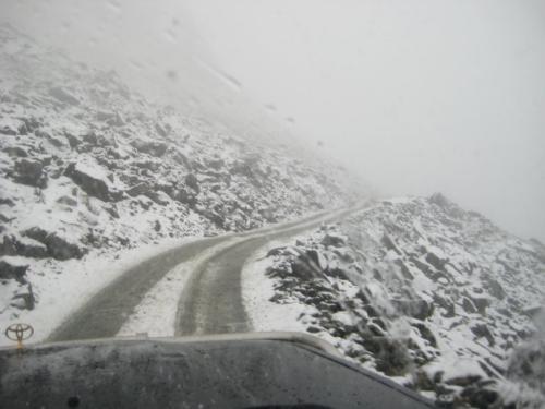 梦见山上下雪