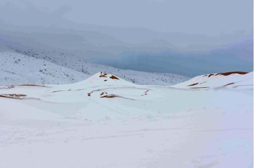 梦见沙漠下雪