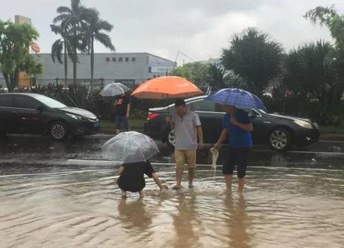 梦见下大雨被困