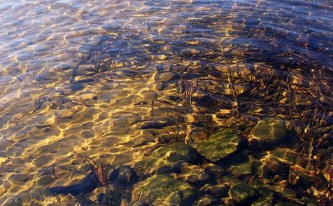 梦见水池水清澈