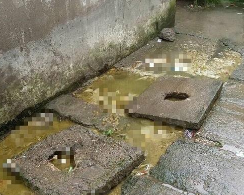 梦见大便溅一身