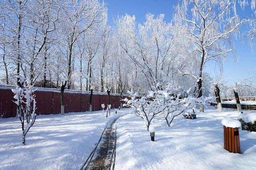 梦见下雪