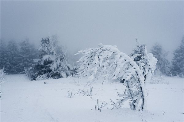 梦见暴风雪