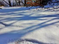 梦见大雪覆盖大地