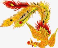 梦见天上有金色凤凰
