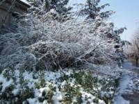 梦见下雨又下雪