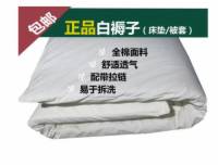 梦见抓床单
