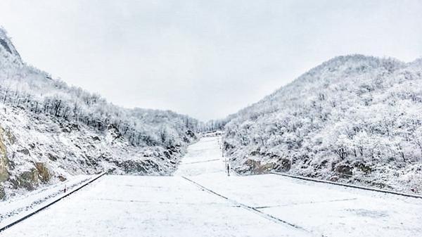 梦见夏天下大雪