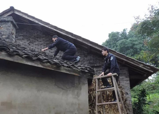 梦见修房顶